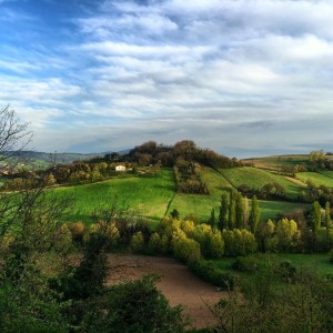 Paesaggio Sassoferrato