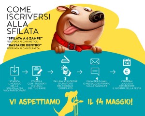 Modalità iscrizione Festa del Cane Meticcio